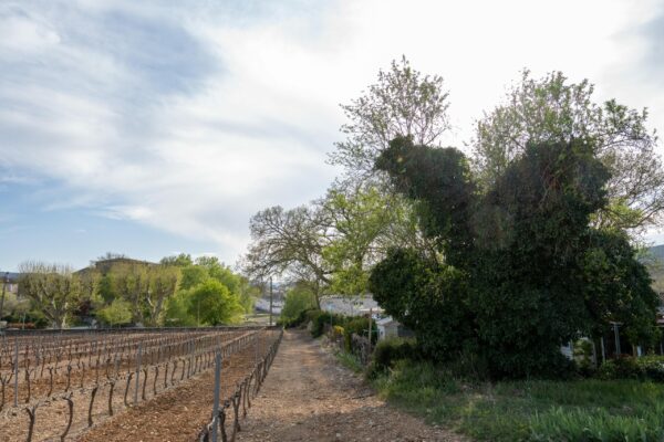 camping municipal au bord du lac de Besse sur Issole